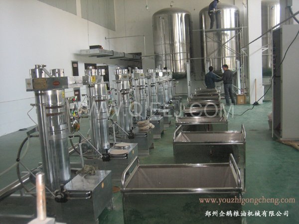 核桃油提取設(shè)備 企鵝牌核桃油設(shè)備 質(zhì)優(yōu)價(jià)好！(圖2)
